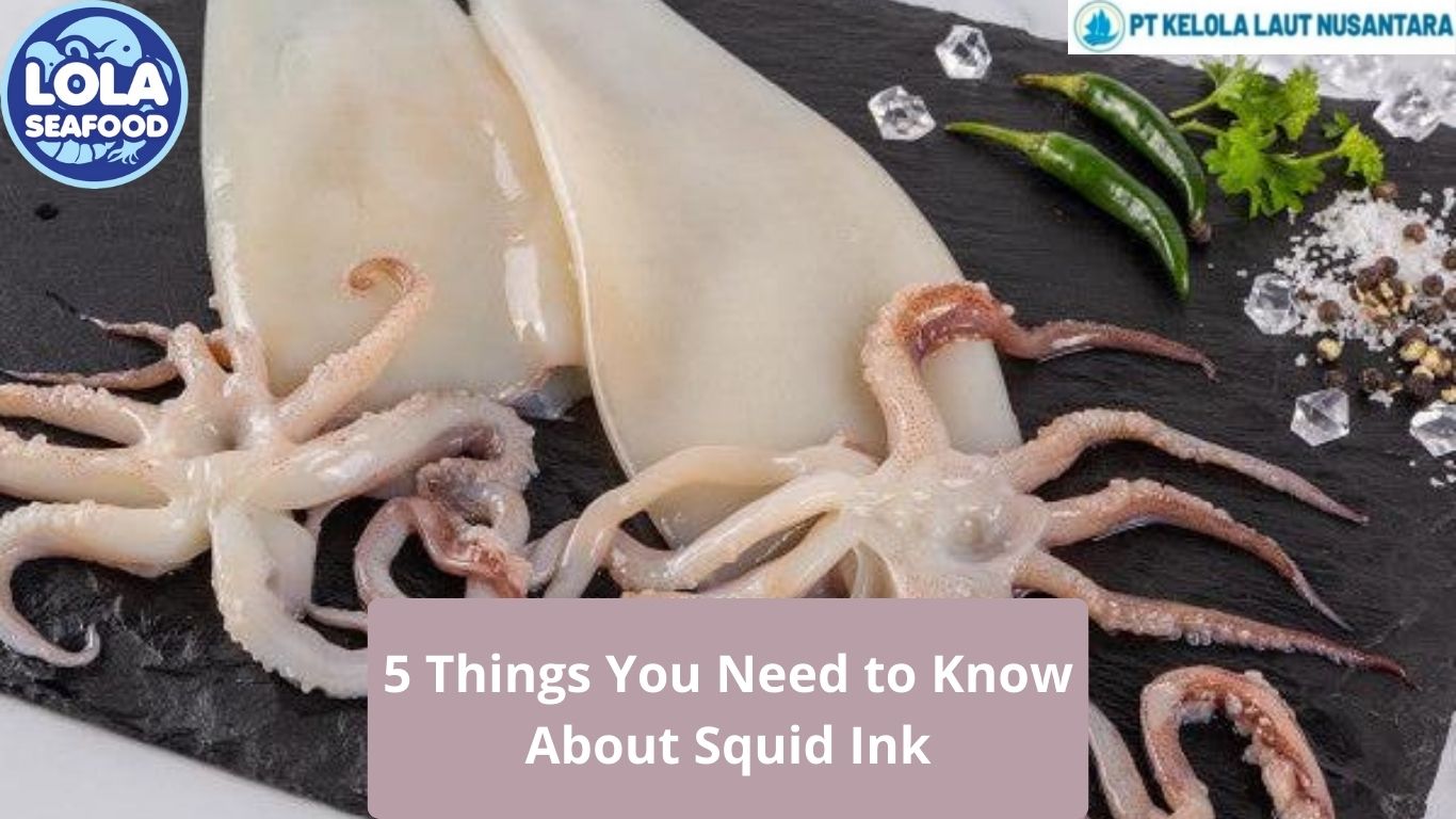 5 Things You Need to Know About Squid Ink